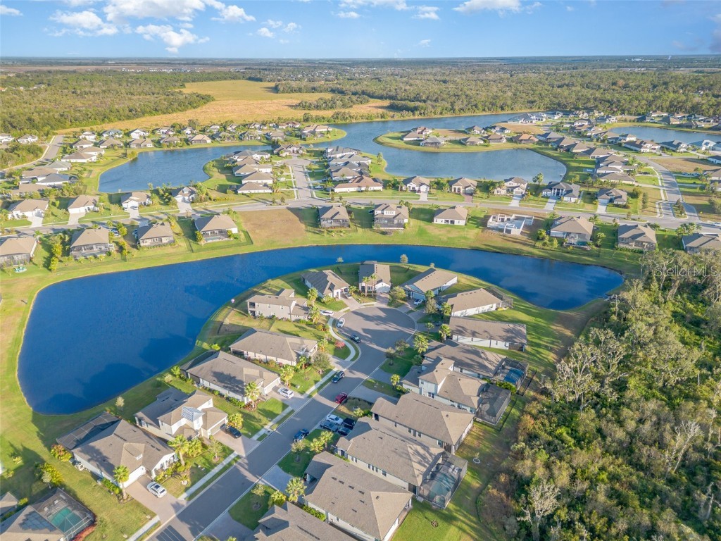 1904 146th Terrace E Parrish FL 34219 TB8448485 image28