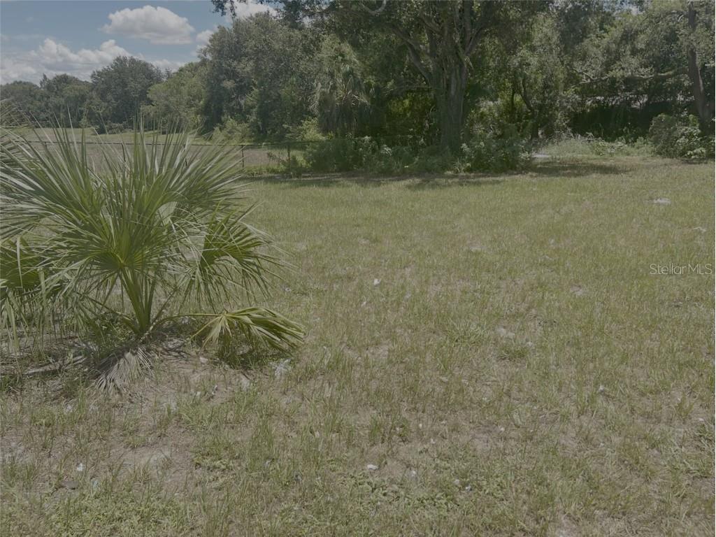 1904-1906 W Busch Boulevard Tampa FL 33612 TB8411234 image7