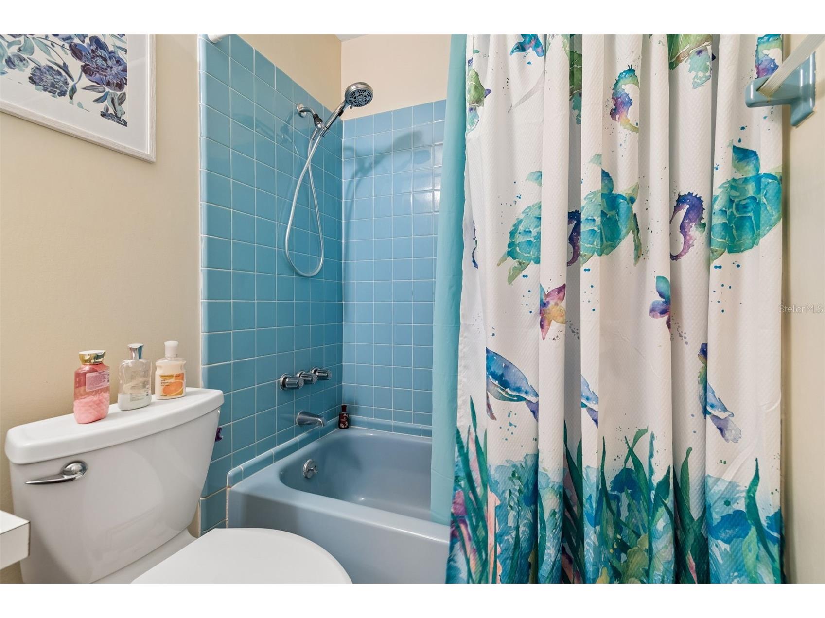1904 Canterbury Lane #5 Sun City Center FL 33573 TB8498130 image24
