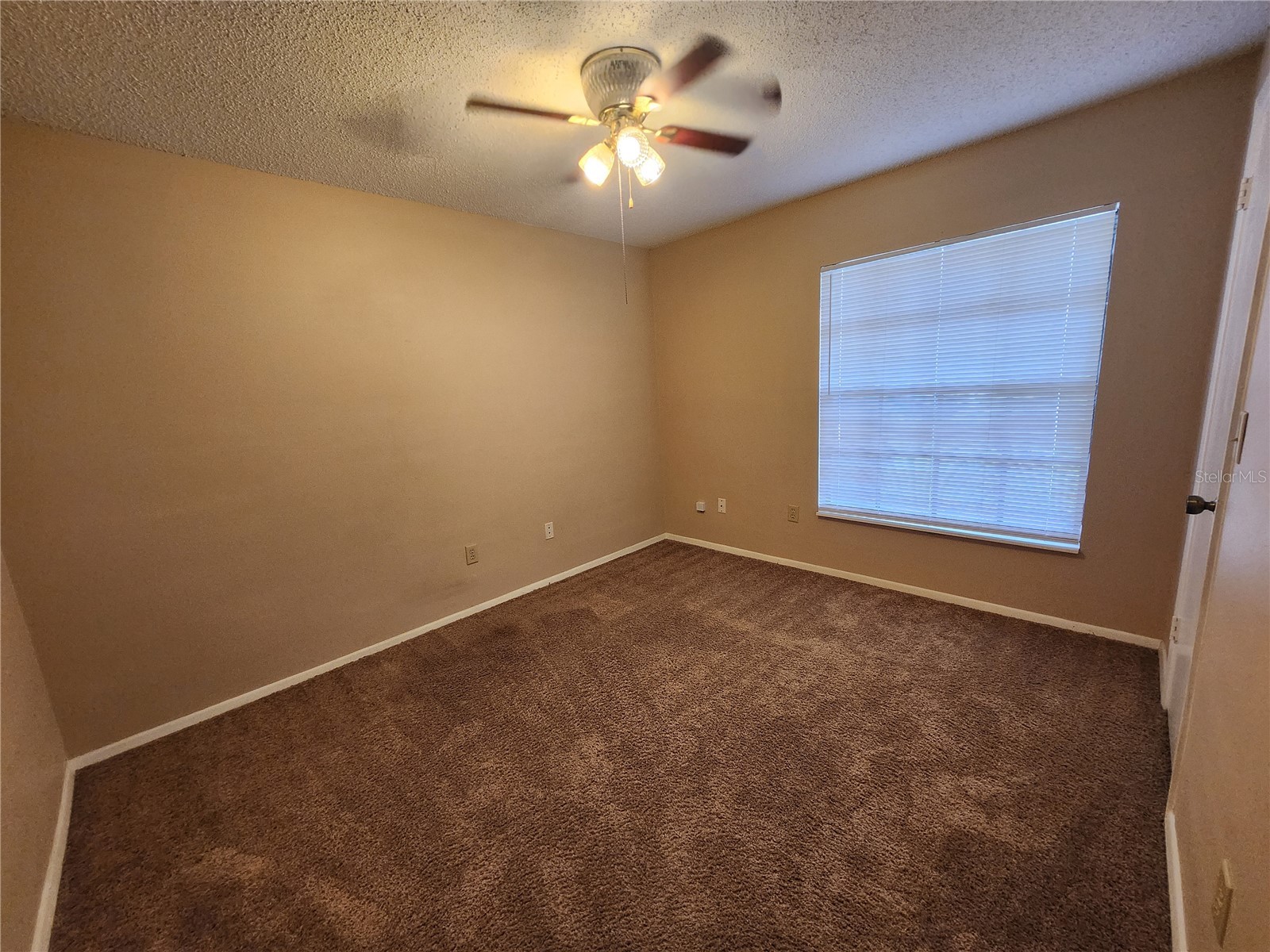1904 Firethorn Court Brandon FL 33511 TB8512837 image12