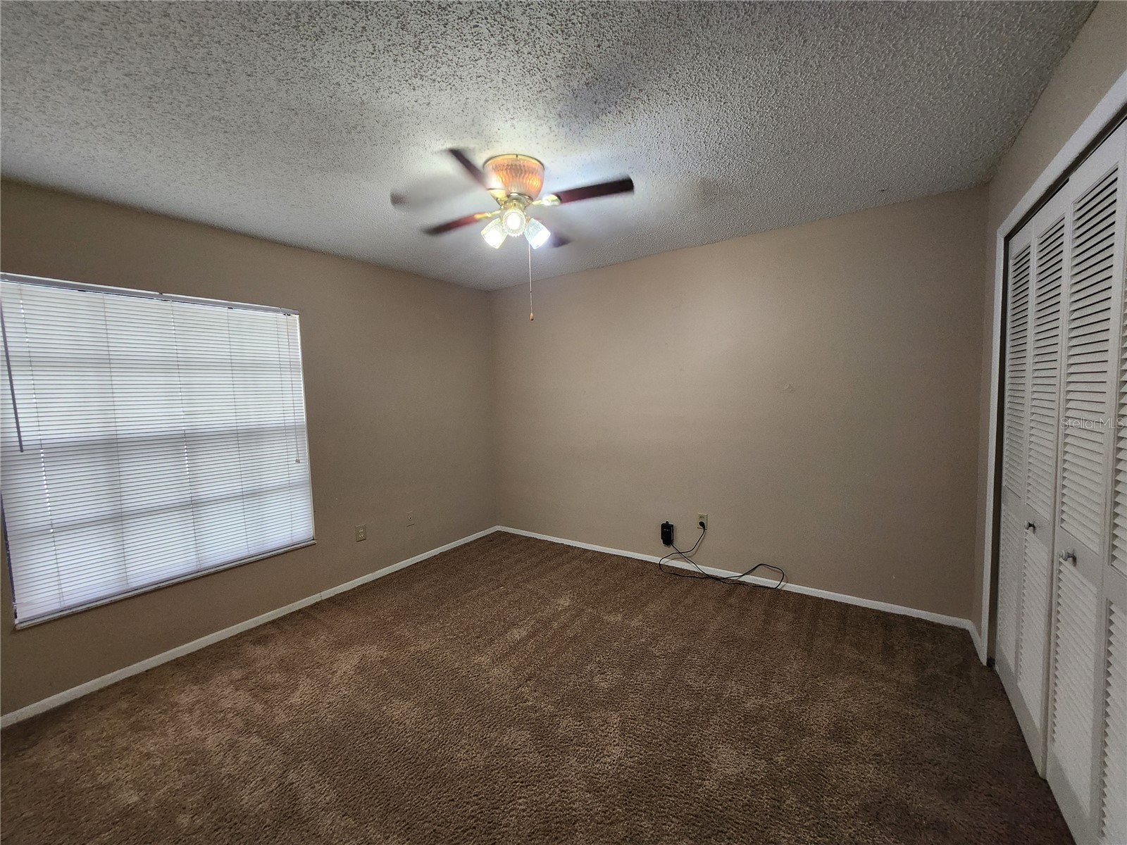 1904 Firethorn Court Brandon FL 33511 TB8512837 image13