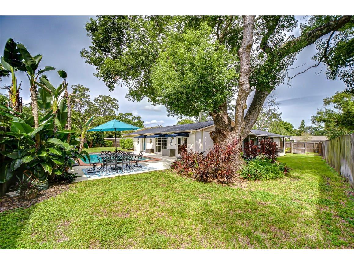 1904 Little Cove Tampa FL 33613 TB8460230 image37