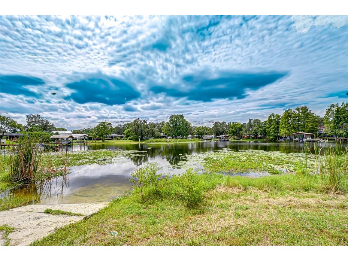 1904 Little Cove Tampa FL 33613 TB8460230 image47