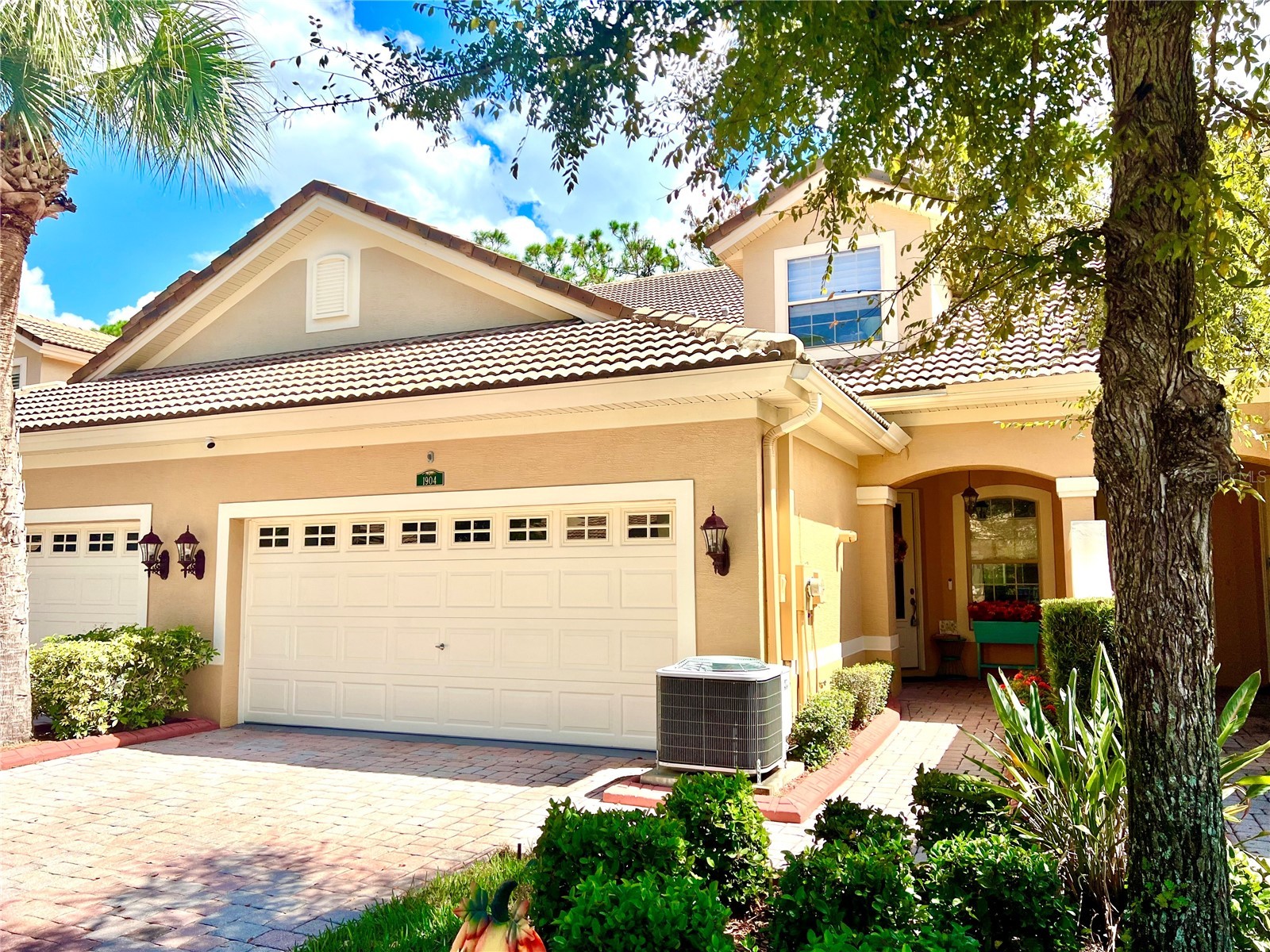 1904 Paw Paw Place Trinity FL 34655 TB8430072 image1