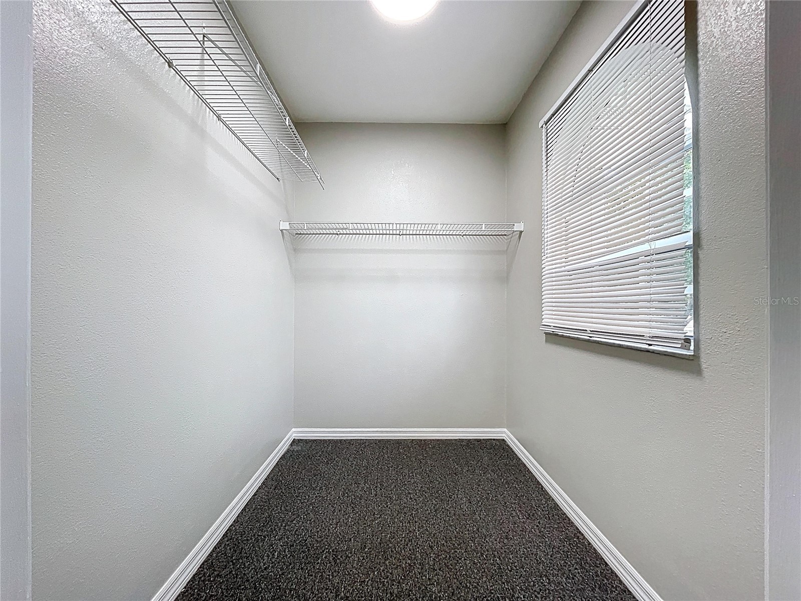 1904 Vista View Drive Lakeland FL 33813 B4902050 image58