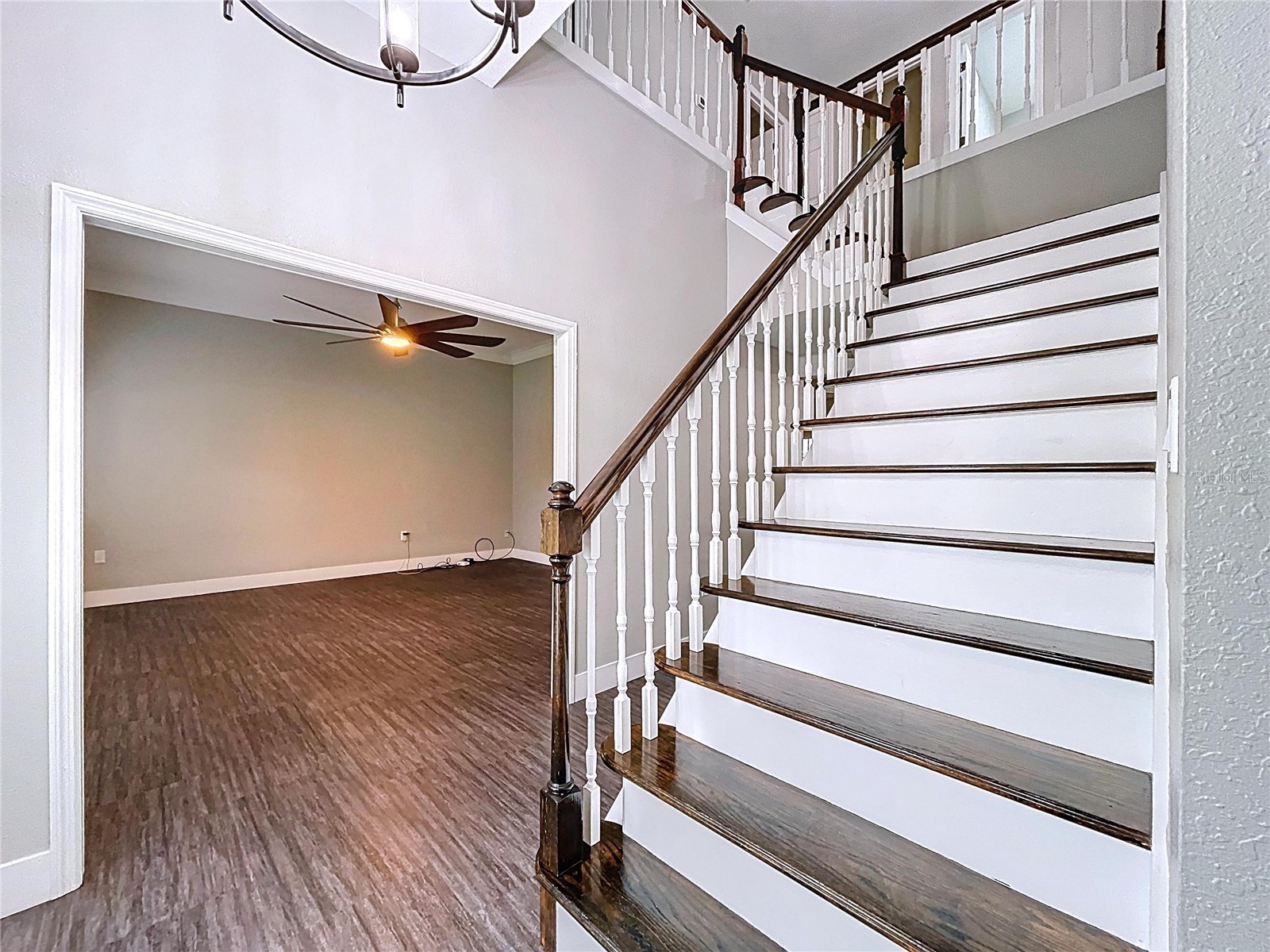 1904 Vista View Drive Lakeland FL 33813 B4902050 image6