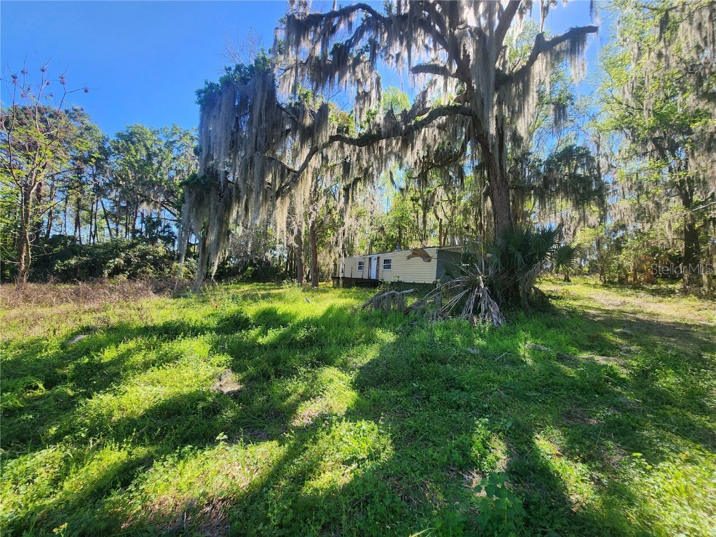 19040 NW 60th Avenue Reddick FL 32686 OM697259 image1