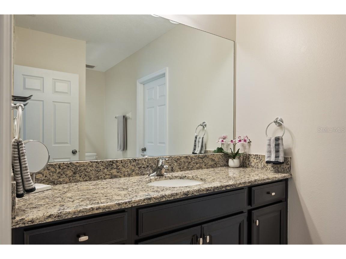 19041 Alfaro Loop Spring Hill FL 34610 TB8382212 image12