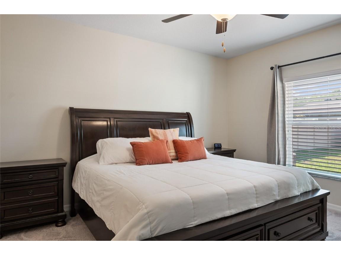 19041 Alfaro Loop Spring Hill FL 34610 TB8382212 image14