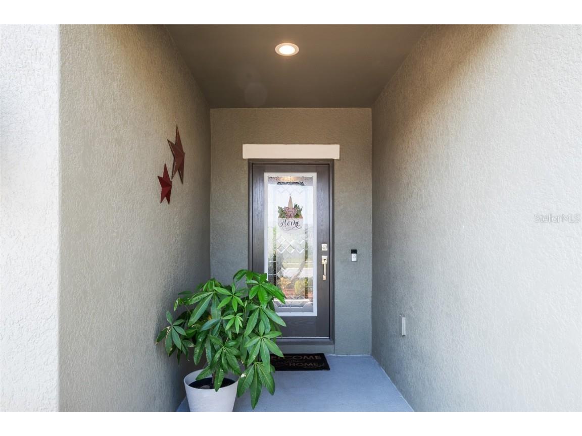 19041 Alfaro Loop Spring Hill FL 34610 TB8382212 image2