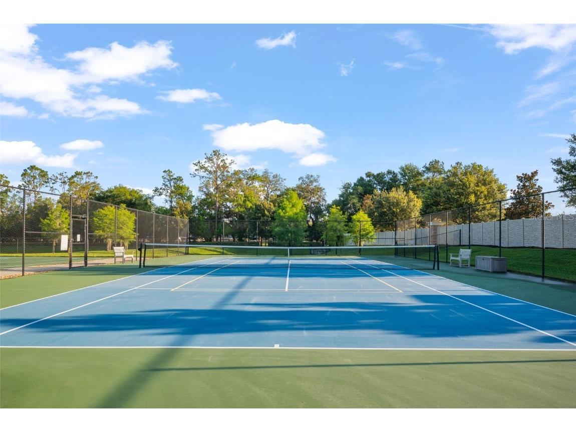 19041 Alfaro Loop Spring Hill FL 34610 TB8382212 image34