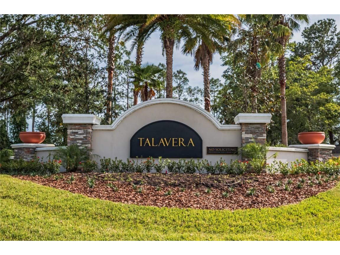 19041 Alfaro Loop Spring Hill FL 34610 TB8382212 image38