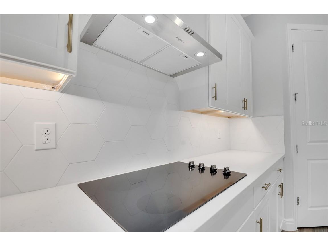 19041 Blueleaf Street Orlando FL 32827 S5132420 image18