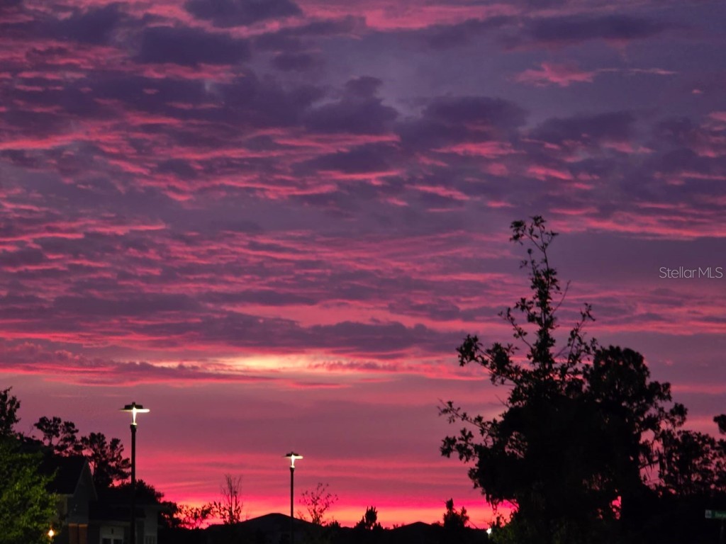 19041 Blueleaf Street Orlando FL 32827 S5132420 image83