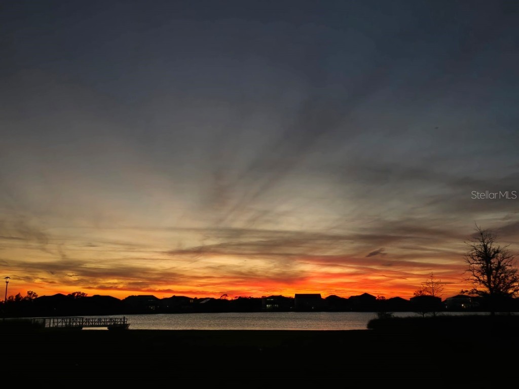 19041 Blueleaf Street Orlando FL 32827 S5132420 image85