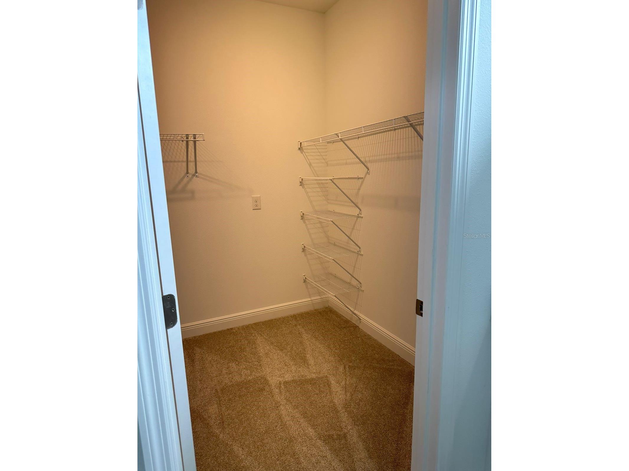 19044 Blueleaf Street Orlando FL 32827 S5144077 image26