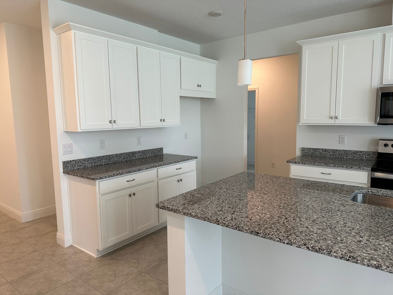 19044 Blueleaf Street Orlando FL 32827 S5144077 image6