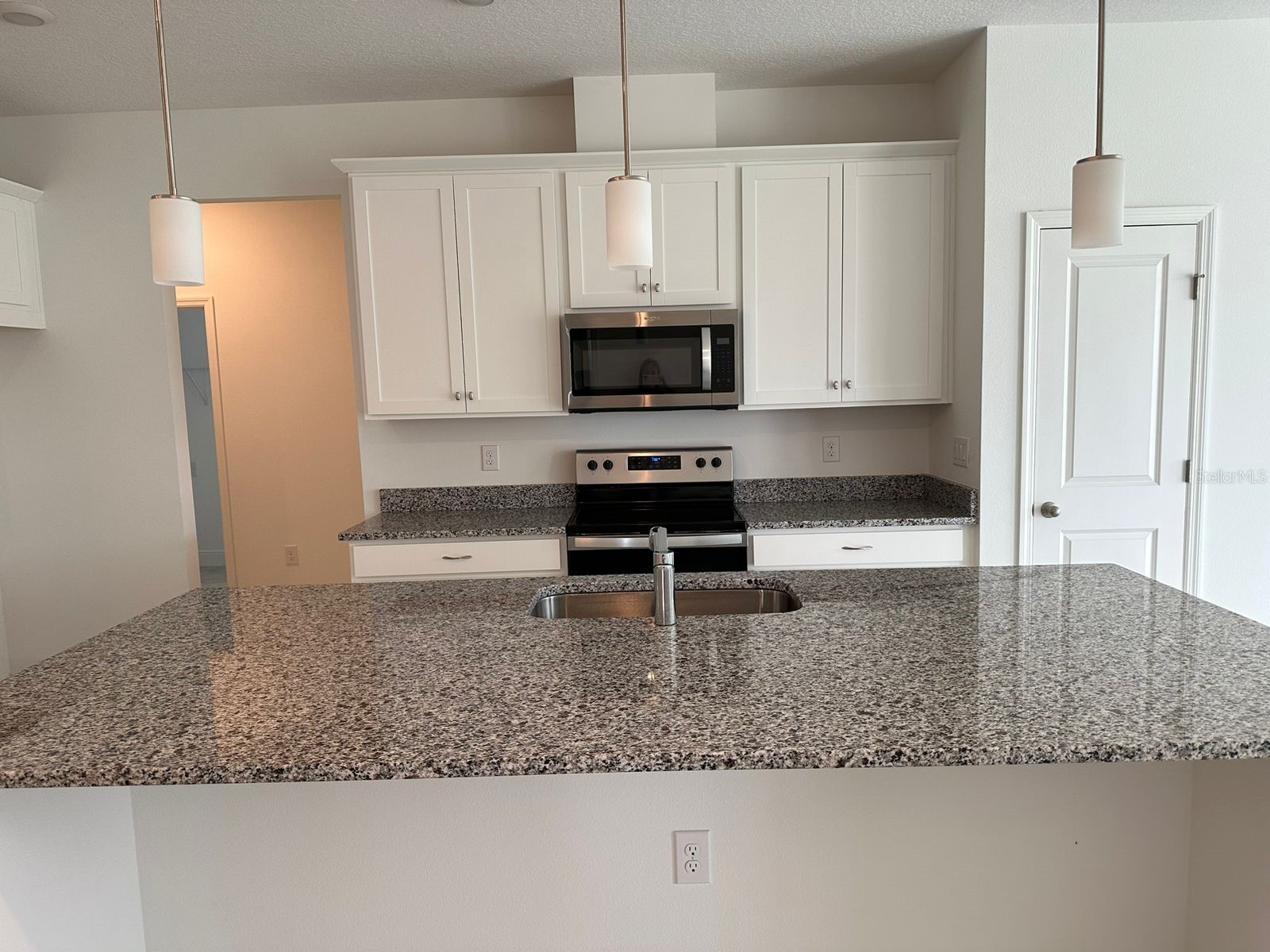 19044 Blueleaf Street Orlando FL 32827 S5144077 image9