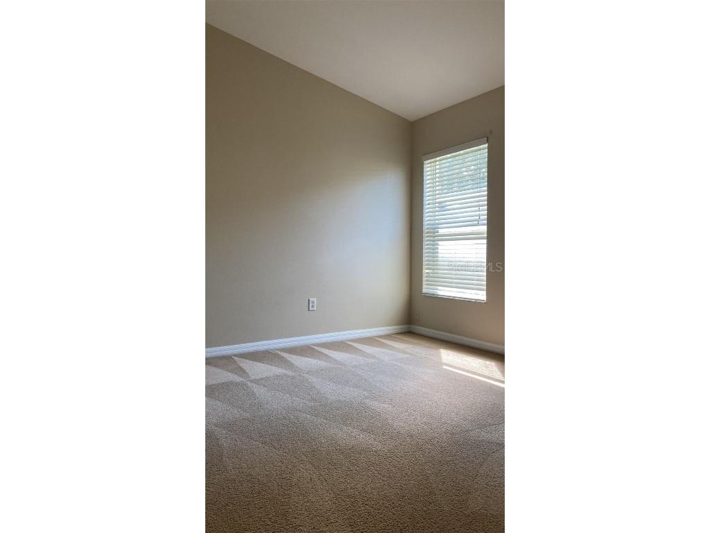 19044 Dunlap Court Land O Lakes FL 34638 TB8439608 image16