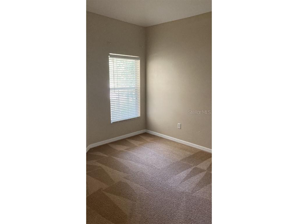 19044 Dunlap Court Land O Lakes FL 34638 TB8439608 image19