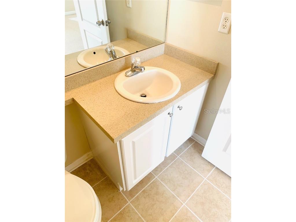 19044 Dunlap Court Land O Lakes FL 34638 TB8439608 image22