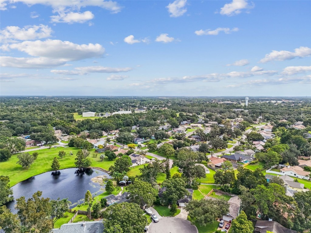 1905 Horseshoe Drive Plant City FL 33566 TB8435341 image46