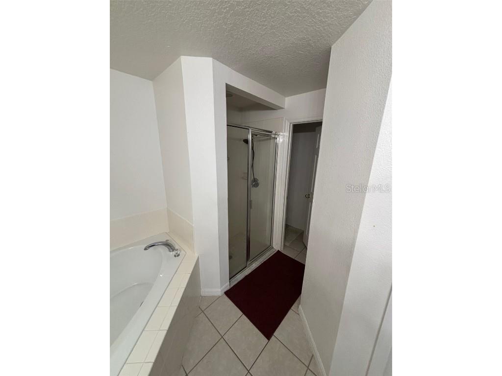 1905 Manatee Lane Kissimmee FL 34759 O6368917 image16