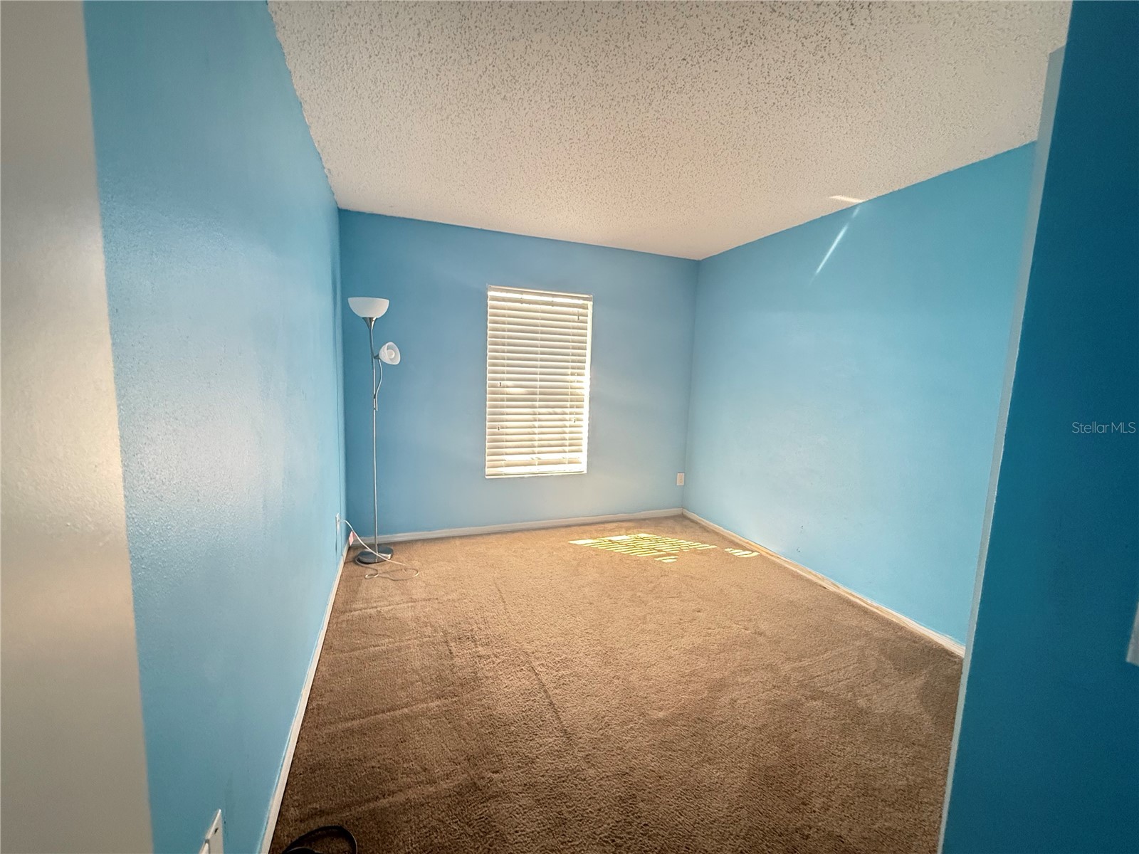 1905 Myakka Court Kissimmee FL 34759 O6390852 image11