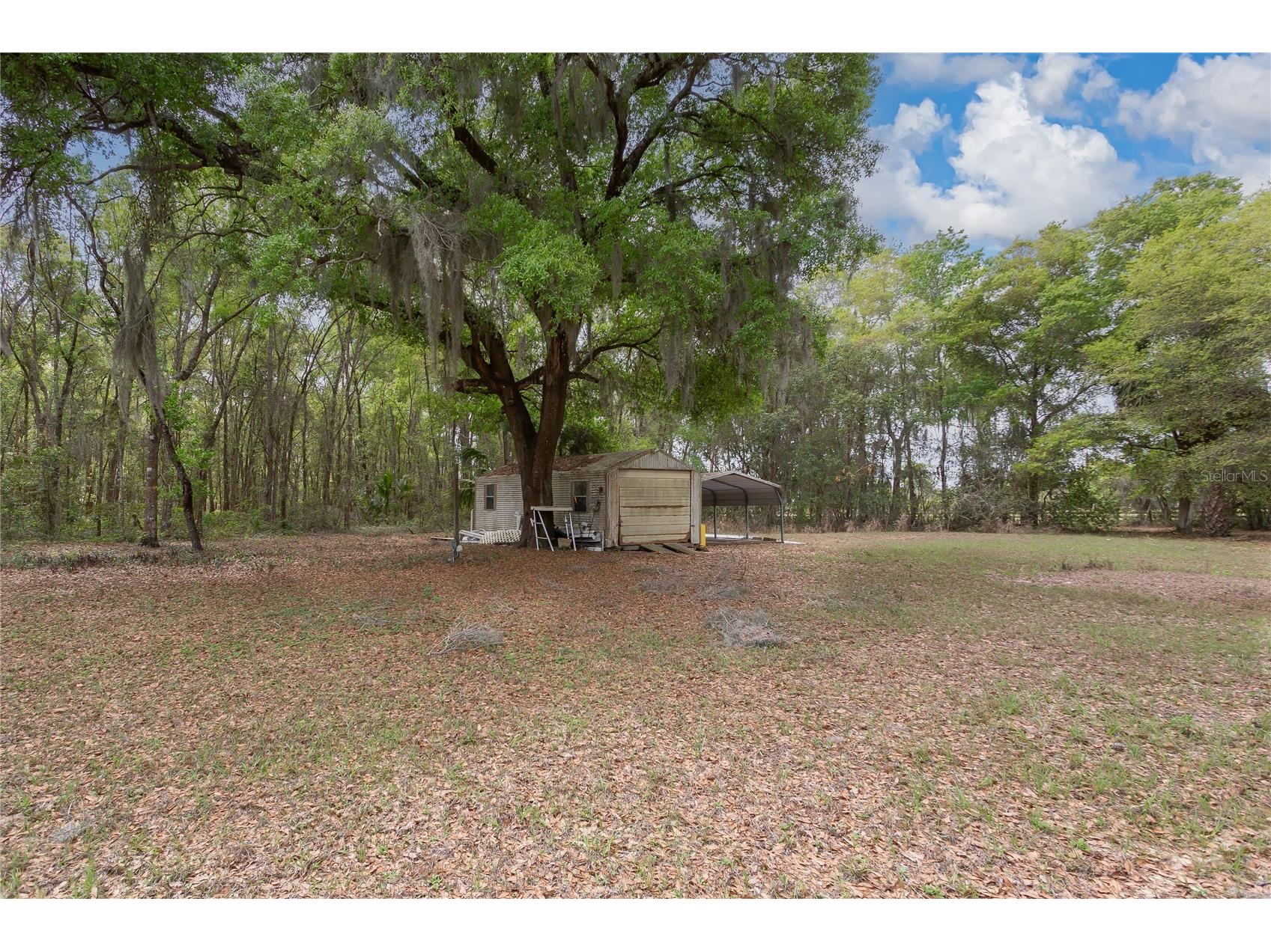 1905 Myrtle Lake Avenue Fruitland Park FL 34731 G5109617 image24