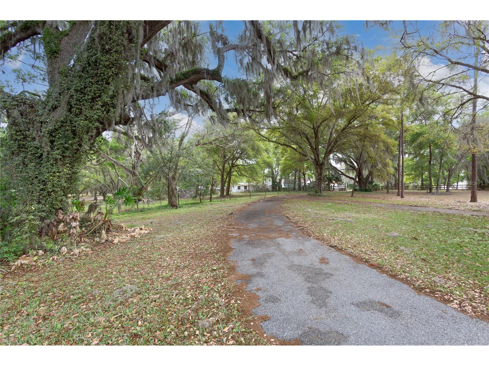 1905 Myrtle Lake Avenue Fruitland Park FL 34731 G5109617 image27
