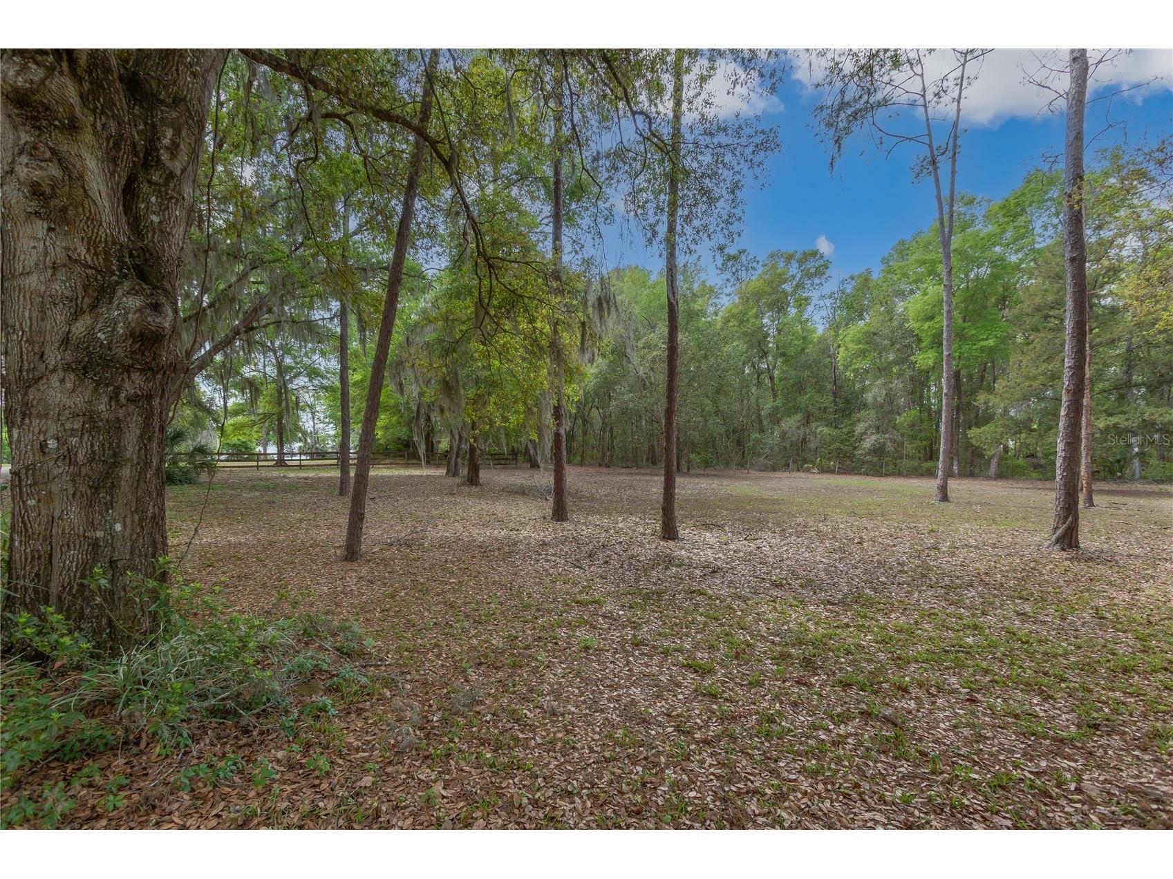 1905 Myrtle Lake Avenue Fruitland Park FL 34731 G5109617 image28