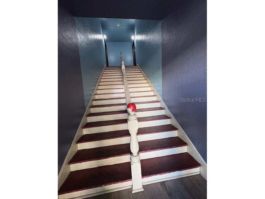 1905 N Taliaferro Avenue #01 Tampa FL 33602 TB8423717 image14