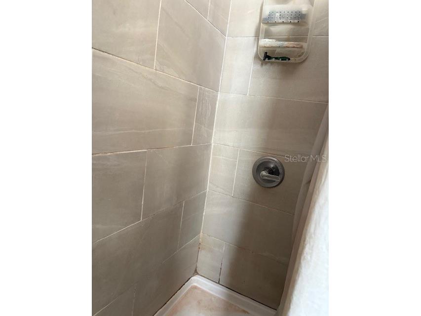 1905 N Taliaferro Avenue #01 Tampa FL 33602 TB8423717 image8