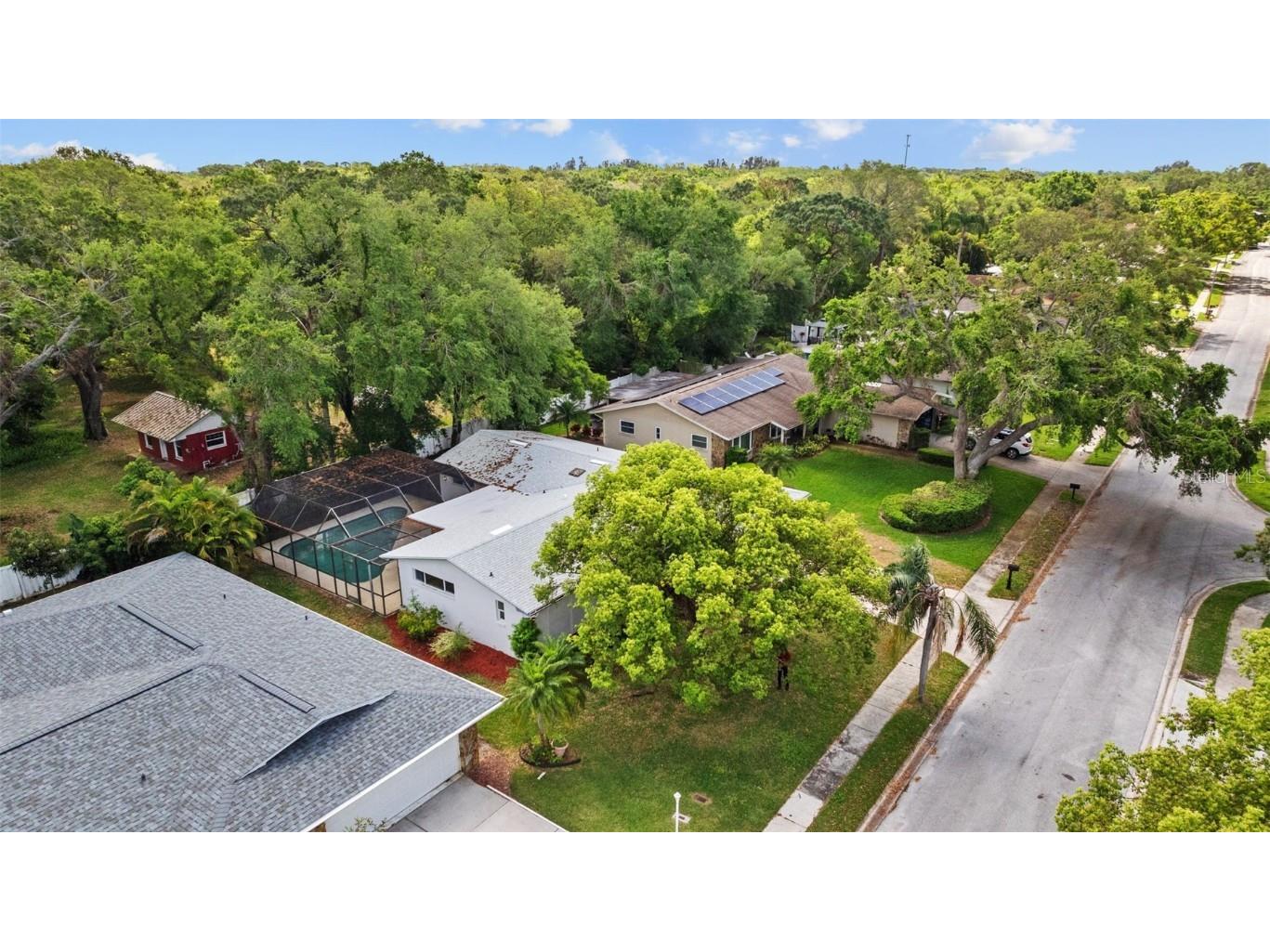 1905 Oro Court Clearwater FL 33764 TB8373286 image41