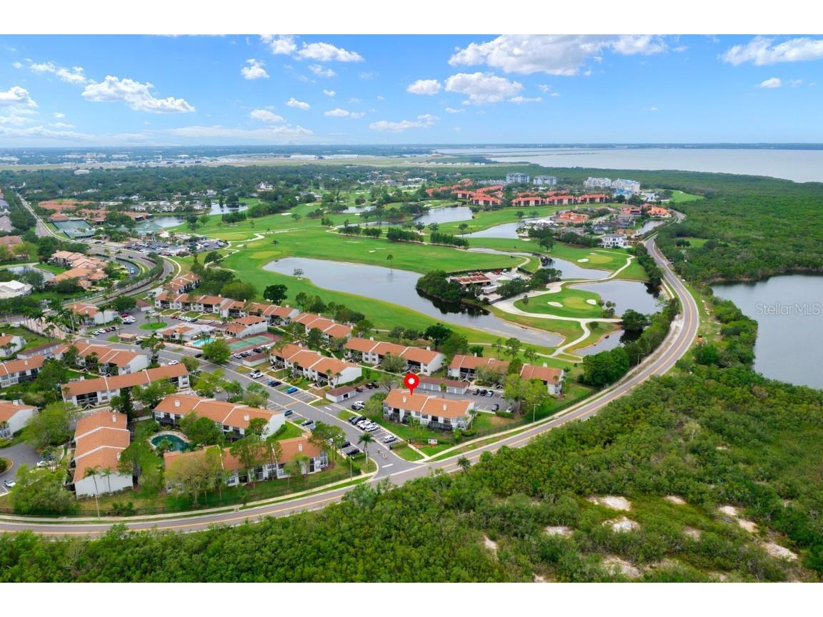 1905 Oyster Catcher Lane #924 Clearwater FL 33762 TB8388477 image2