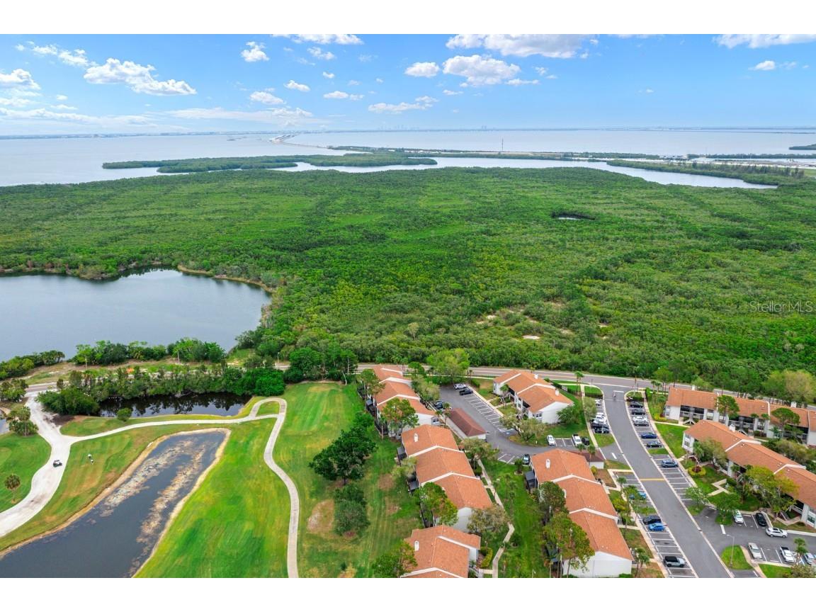 1905 Oyster Catcher Lane #924 Clearwater FL 33762 TB8388477 image22