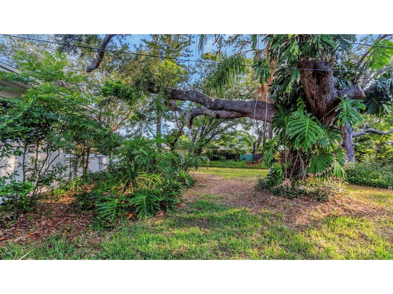 1905 Pinetree Lane Largo FL 33770 W7880661 image85