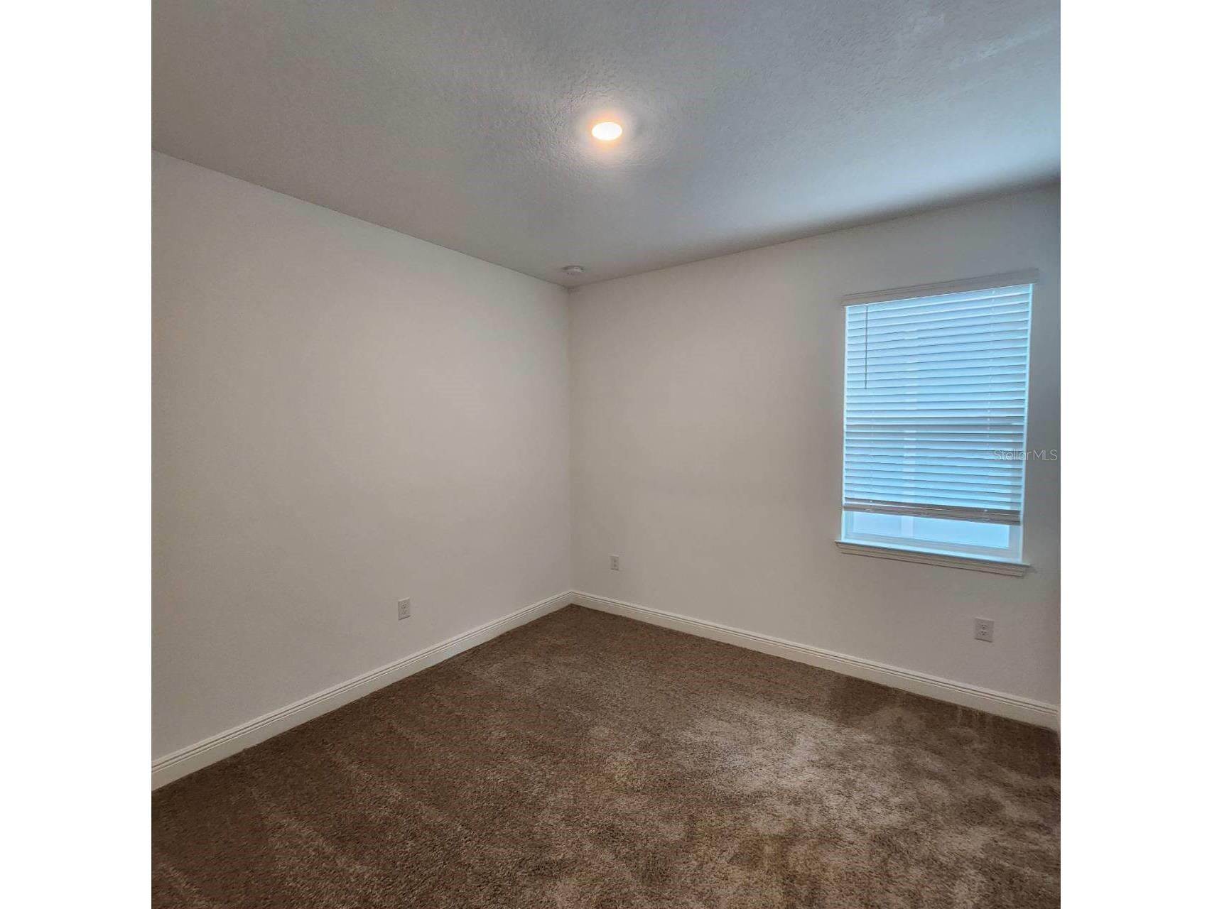 19050 Blueleaf Street Orlando FL 32827 O6418333 image14