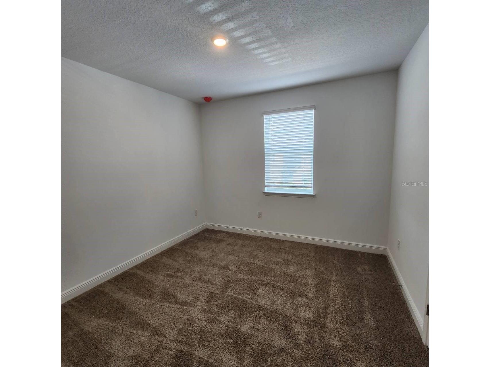 19050 Blueleaf Street Orlando FL 32827 O6418333 image19