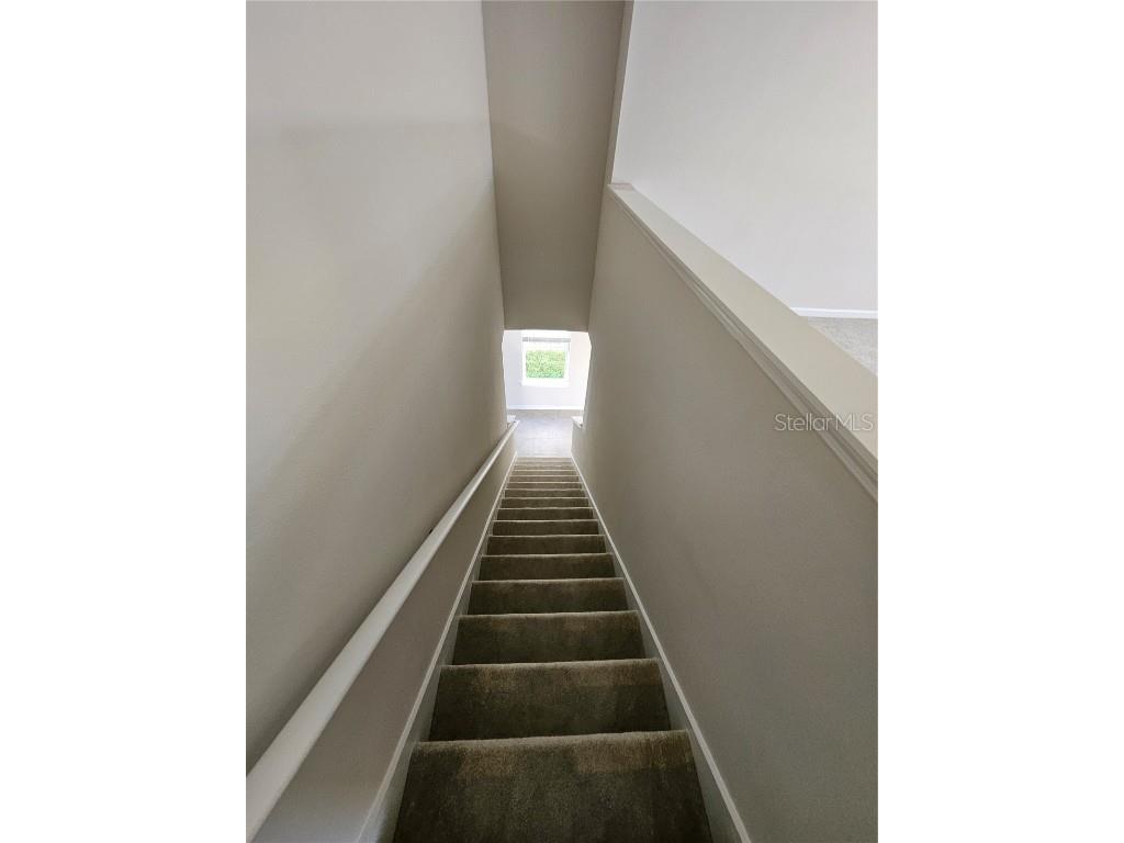 19051 Pebble Wood Lane Spring Hill FL 34610 TB8446654 image31