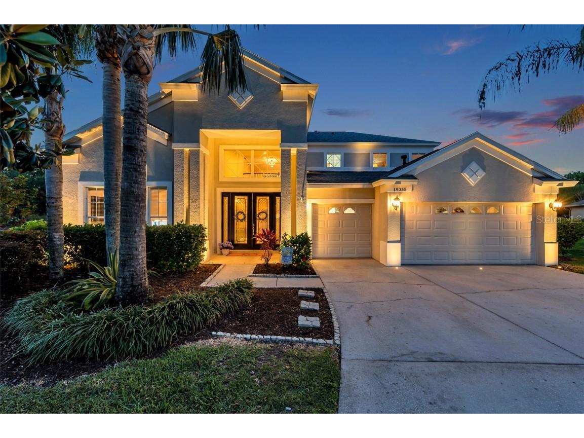 19055 Lone Creek Court Land O Lakes FL 34638 TB8378719 image1