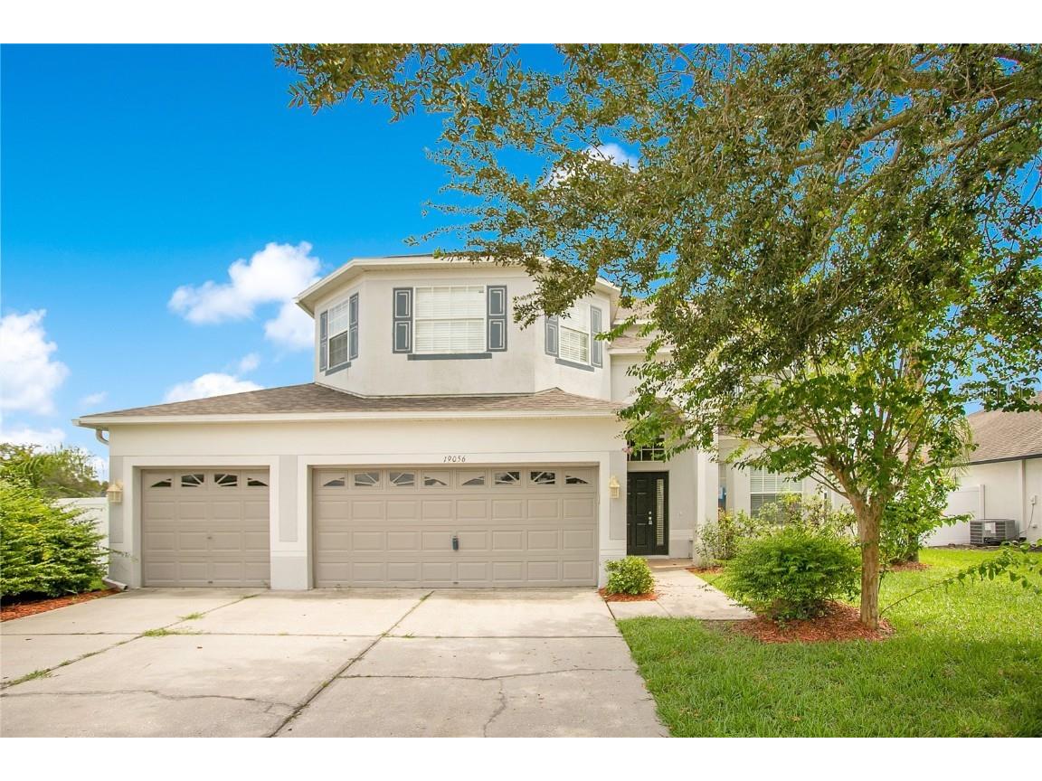 19056 Chislehurst Drive Land O Lakes FL 34638 O6219342 image1