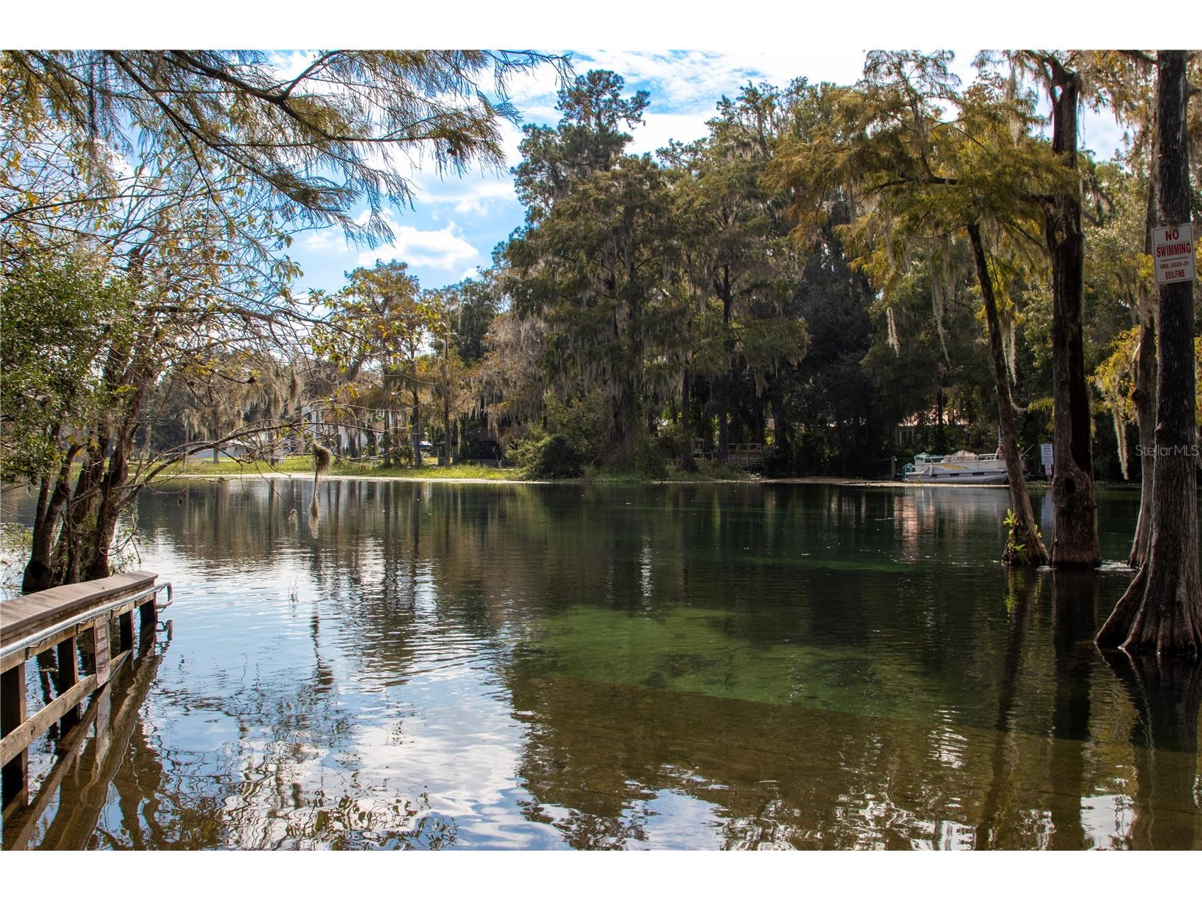19056 Saint Benedict Drive Dunnellon FL 34432 OM723484 image44