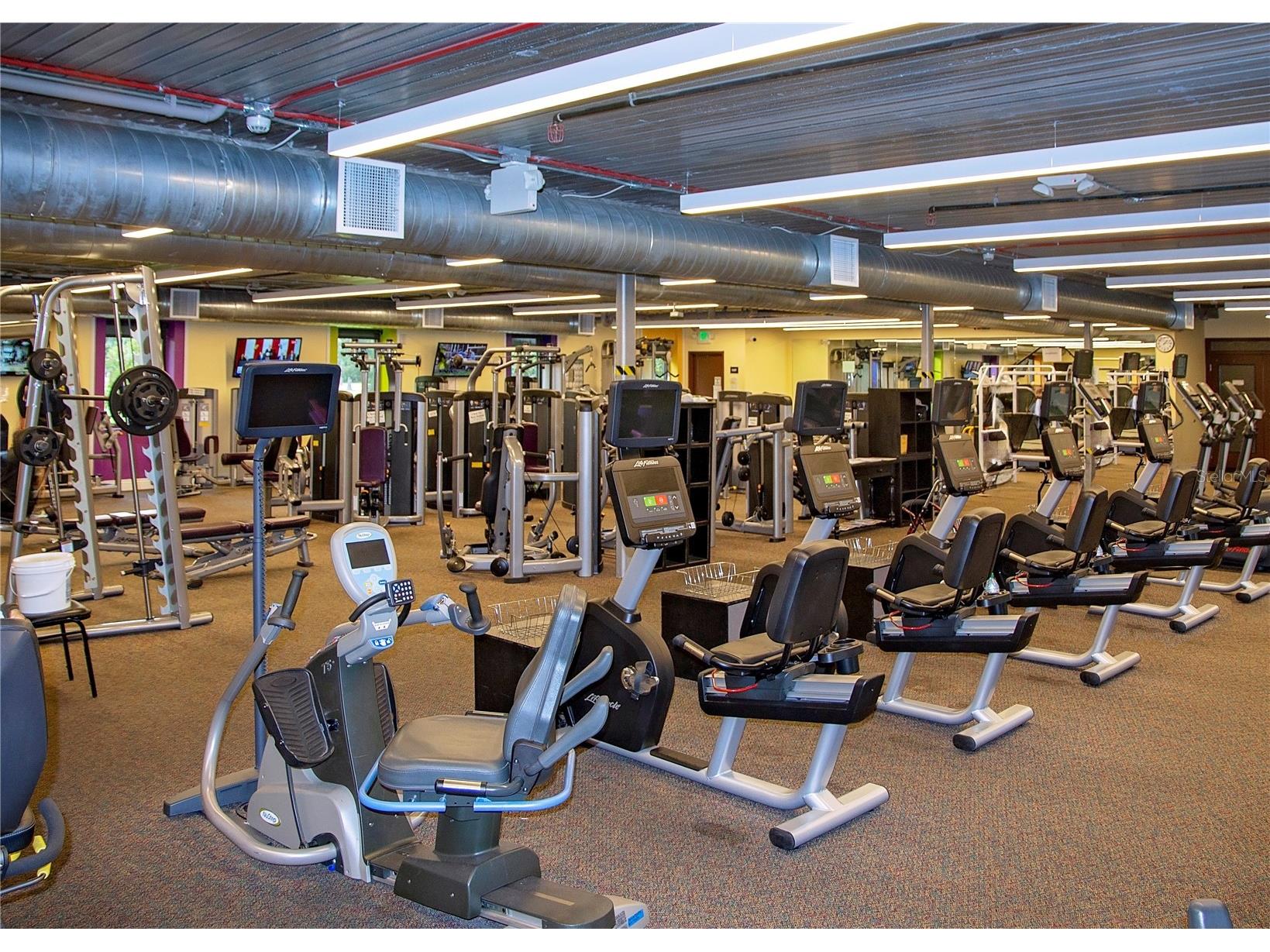 1906 Canterbury Lane #20 Sun City Center FL 33573 TB8394533 image56