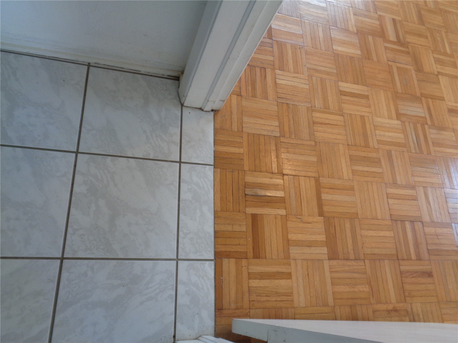 1906 Dudley Place Sarasota FL 34235 A4689017 image31