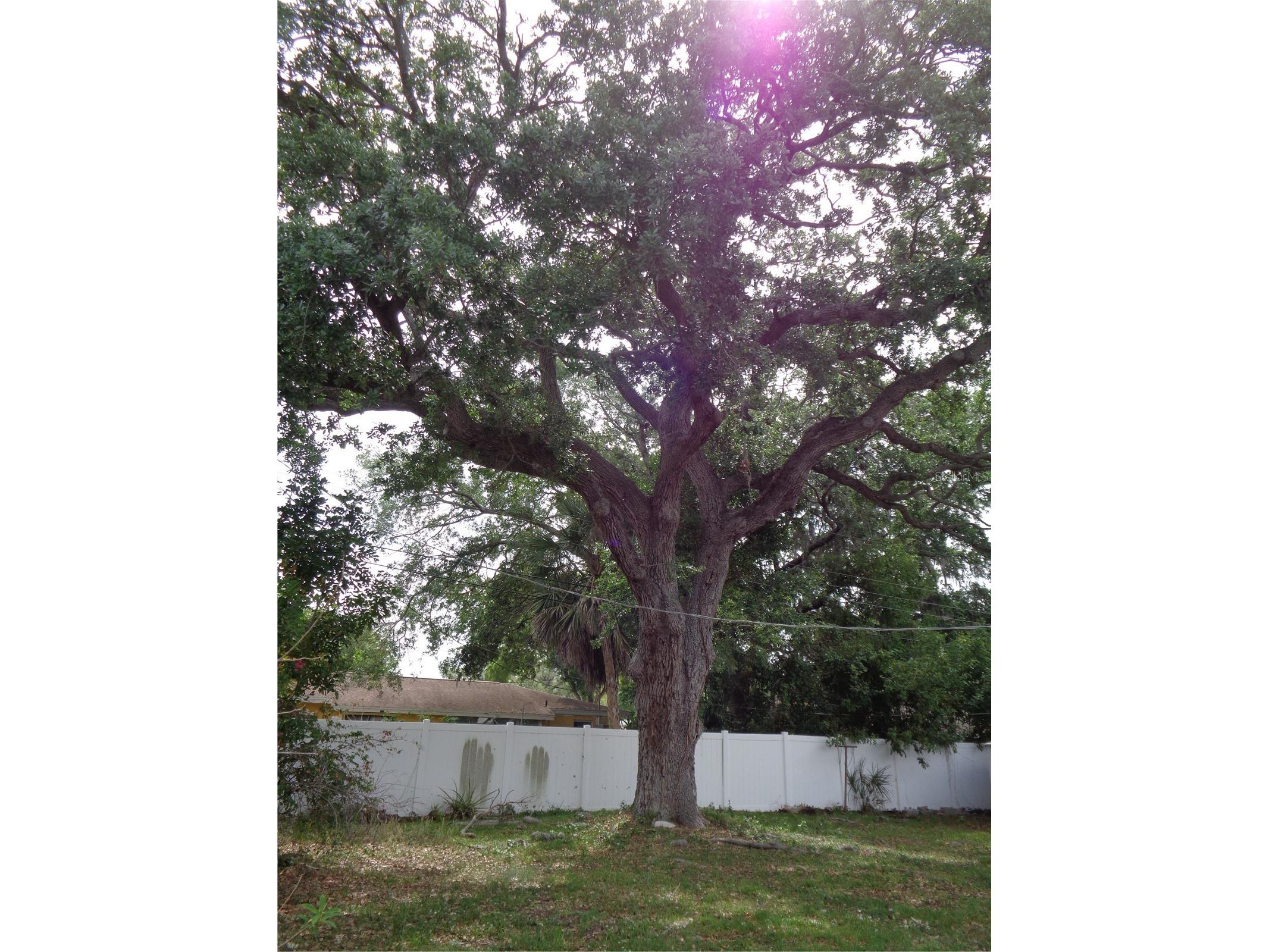 1906 Dudley Place Sarasota FL 34235 A4689017 image5