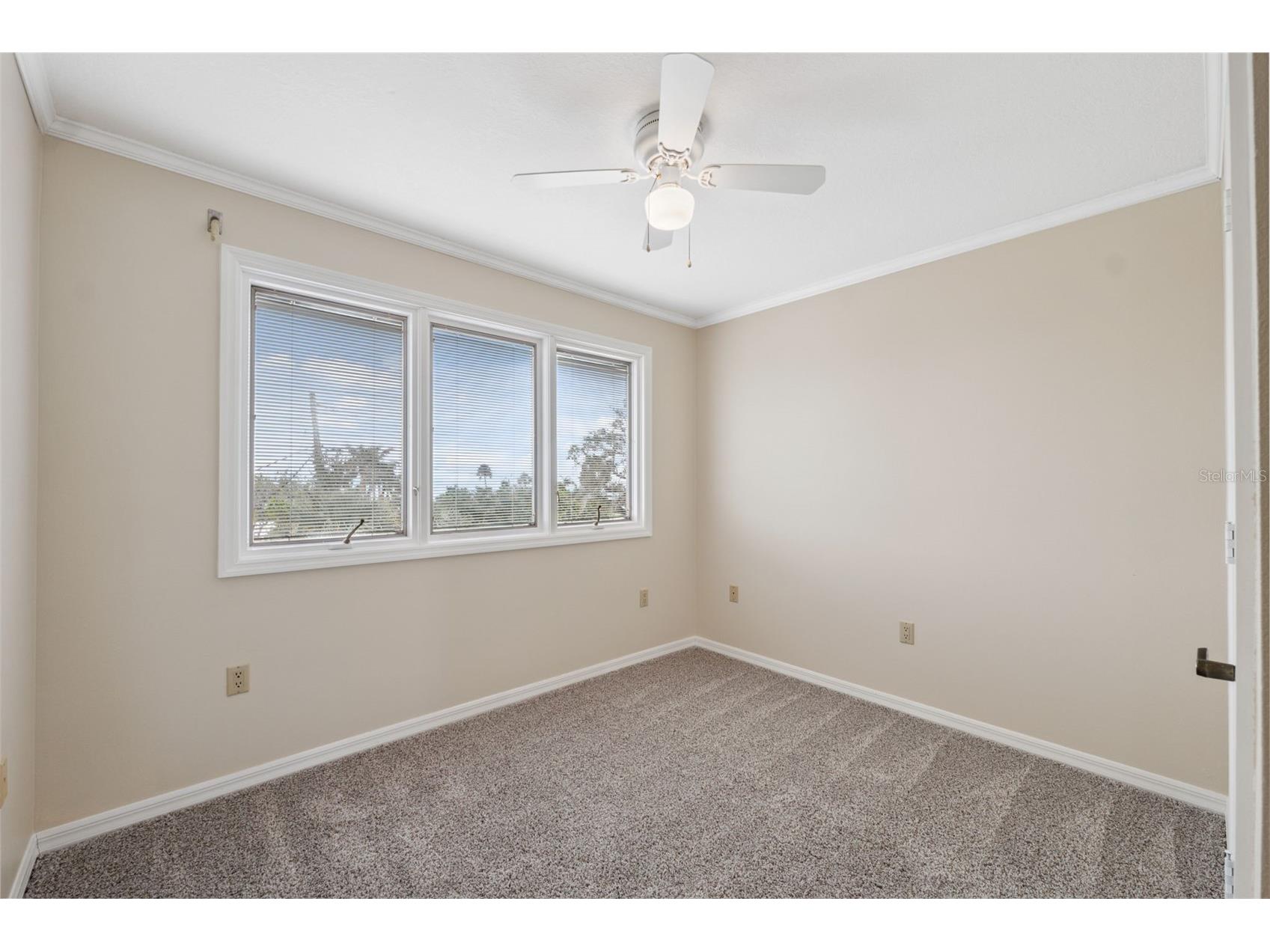 1906 Gulfview Drive Holiday FL 34691 TB8482035 image32