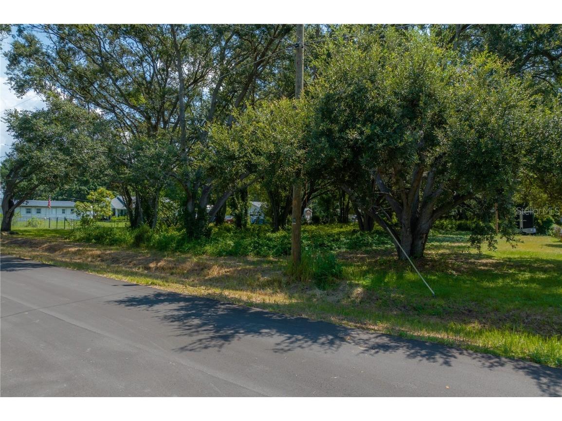 1906 Hobbs Road Tampa FL 33619 T3465718 image1