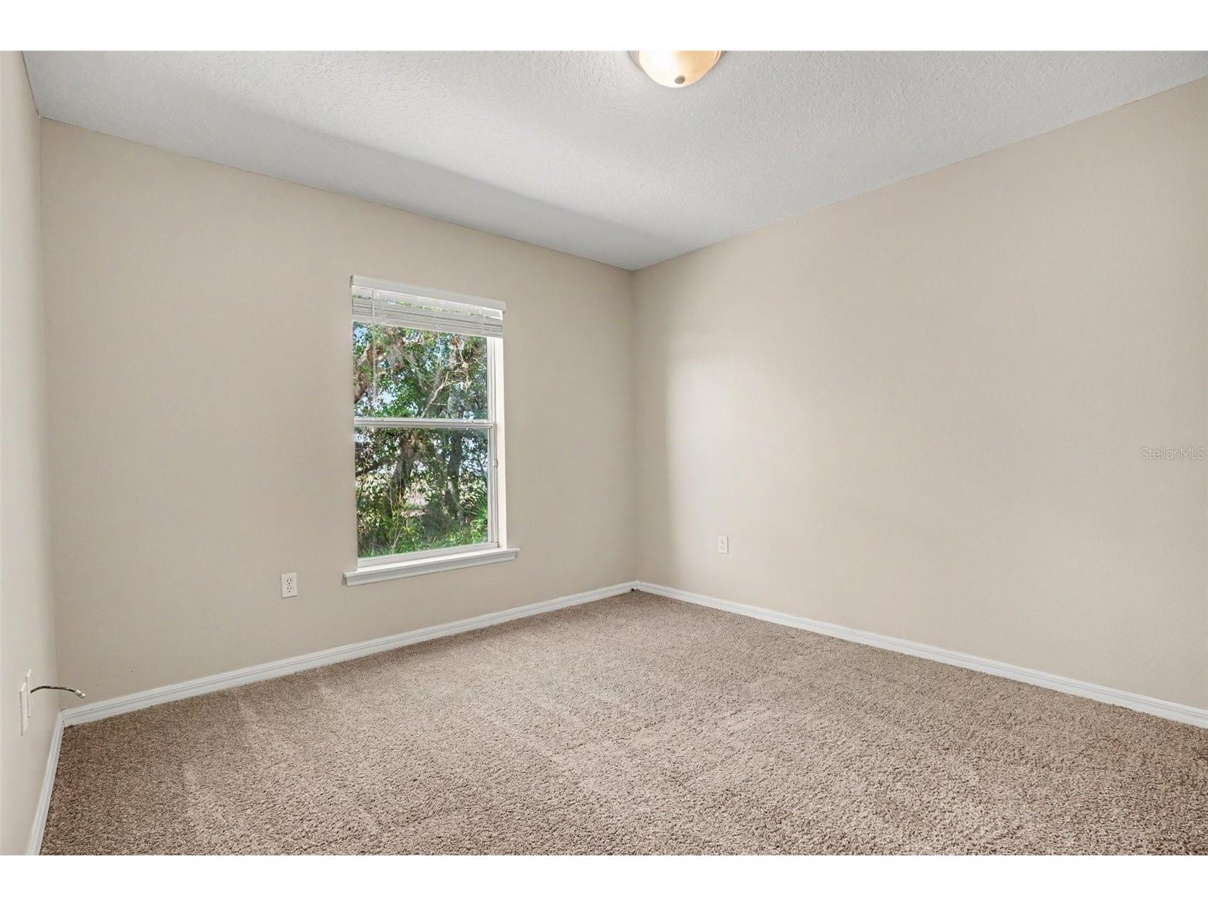 1906 Lakeview Way Kissimmee FL 34759 TB8512319 image19
