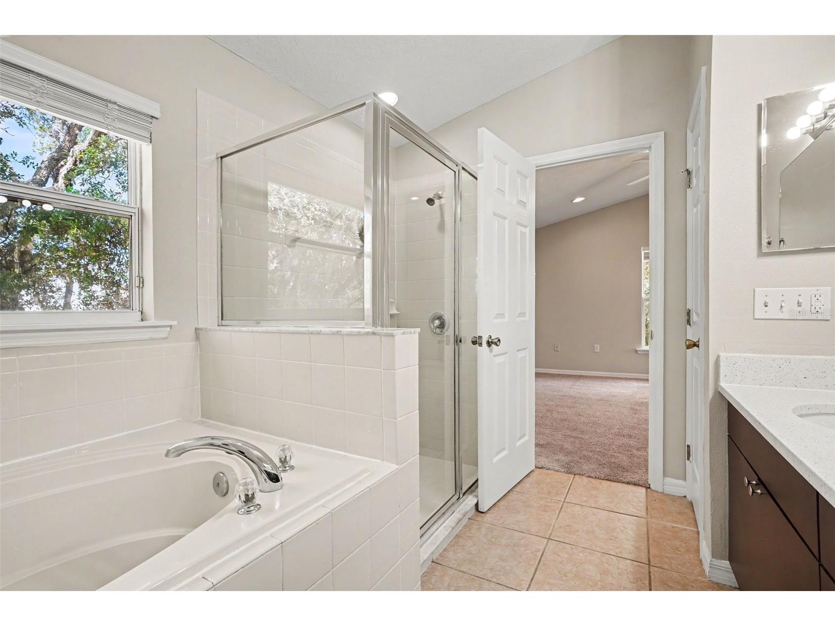 1906 Lakeview Way Kissimmee FL 34759 TB8512319 image24
